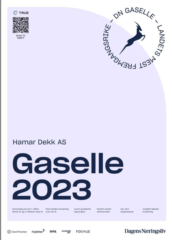 DN Gaselle-diplom 2023 — Hamar Dekk AS